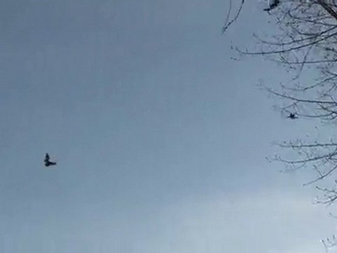 Tahtalı Avı....YALNIZ KURT 57