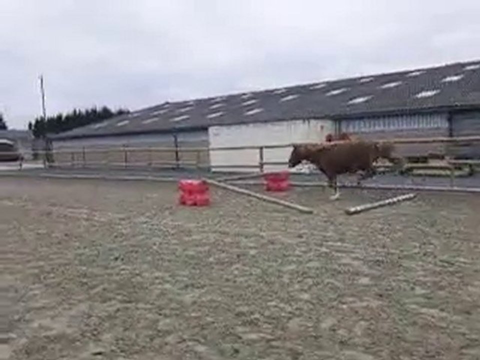 Sangor saut en lib carrière