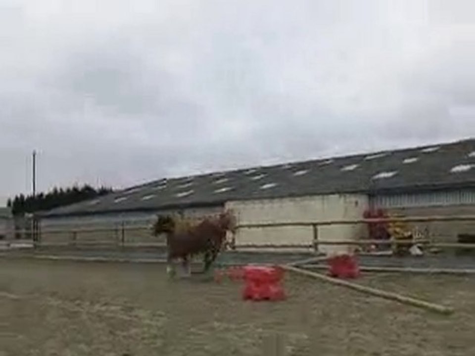 Sangor saut en lib carrière 2