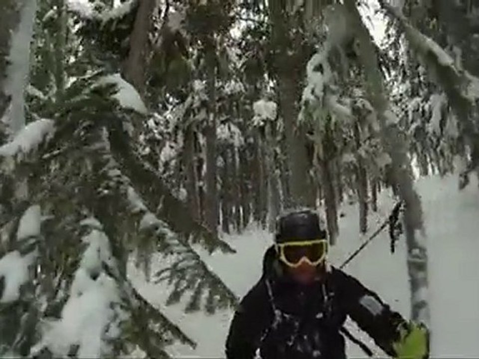 Whistler Blackcomb POV by John Wells – Treed Up