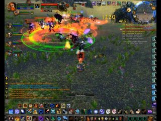 Chasseur lvl 80 survie