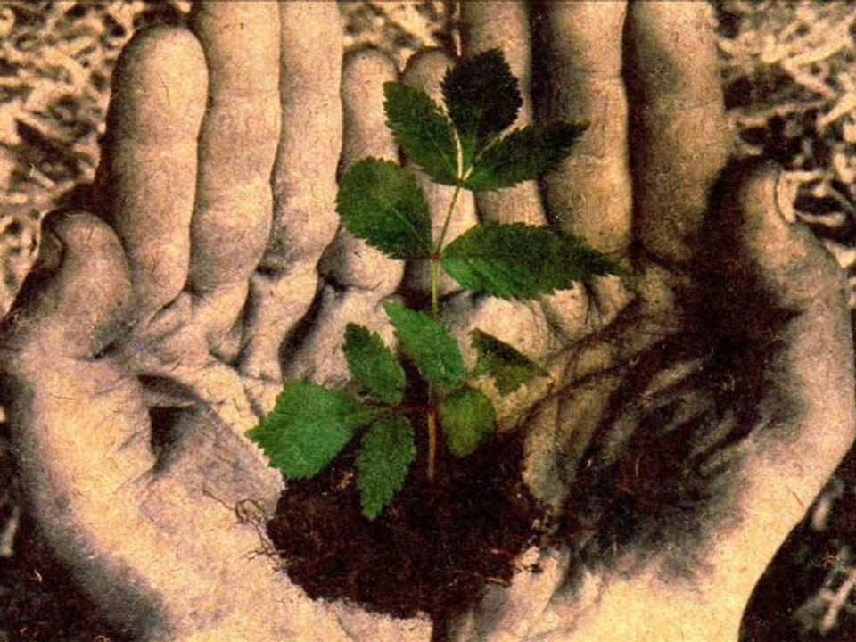 Yalan dünya-Tekfuri (Beytullah Arabacı)