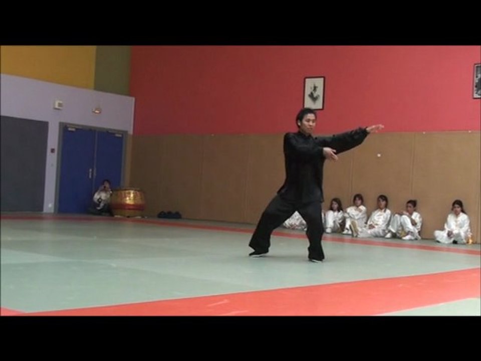 tai chi style chen