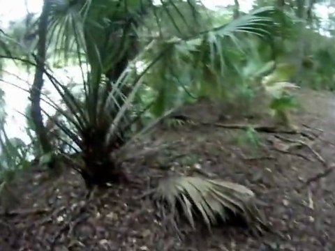 Alafia River State Park - North Creek Part B