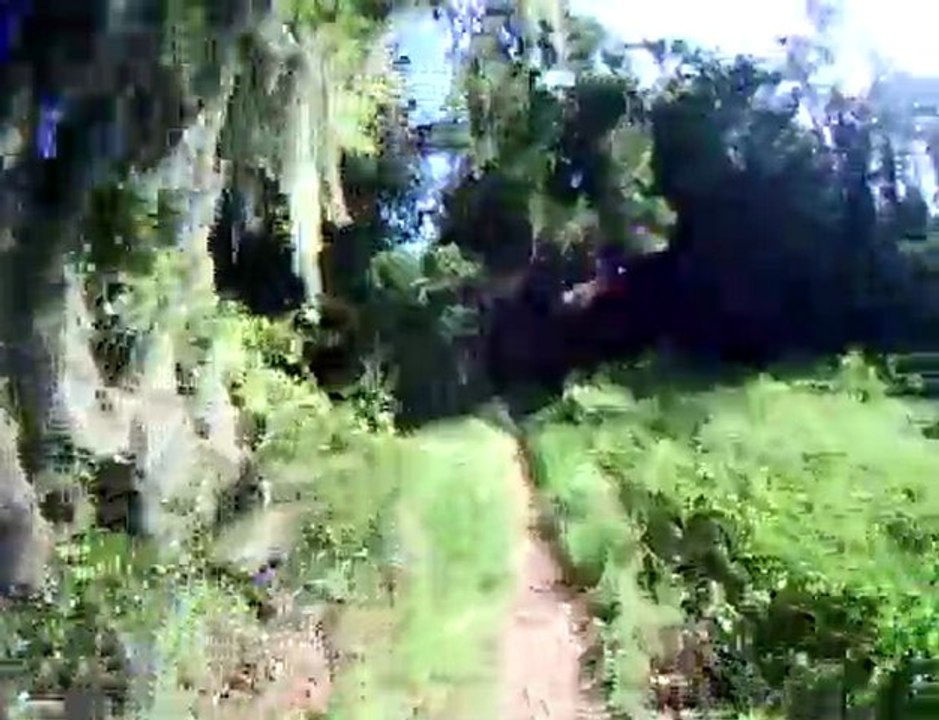 golf cart trail @balm boyette, florida