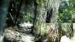 Spiderberm Trails 2 cam Angles @ Balm Boyette Scrub Preserve
