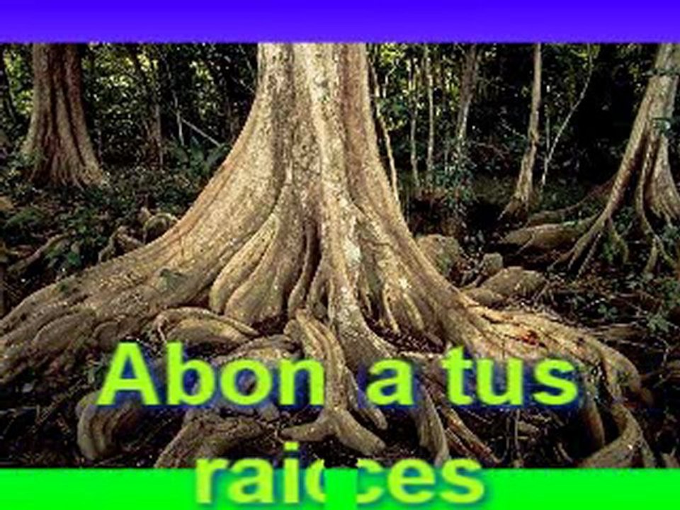como lograr buenos frutos motivador wilmancuellar@yahoo.com