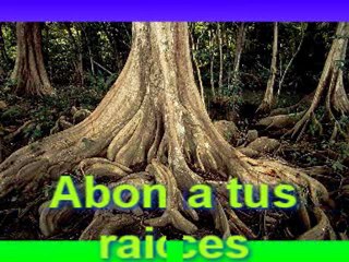 como lograr buenos frutos motivador wilmancuellar@yahoo.com