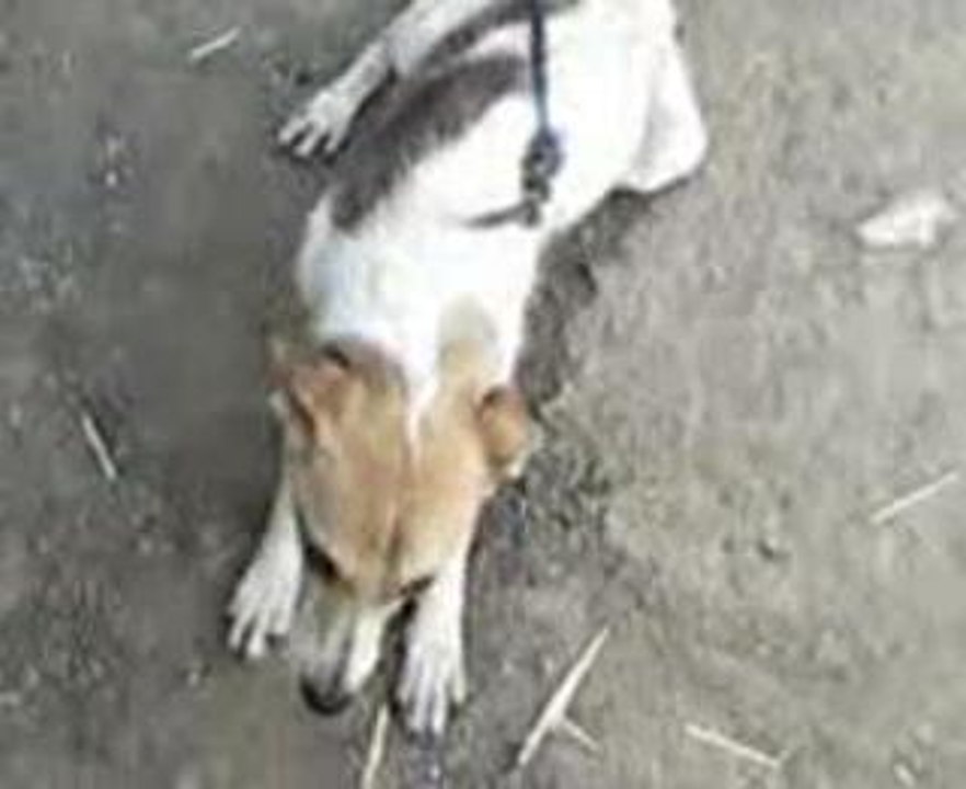 Vid0018