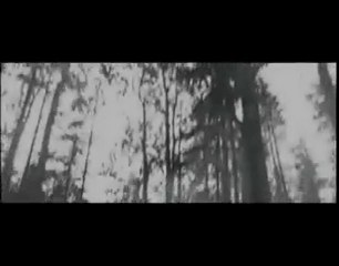 Вера Алоэ-У неба на глазах