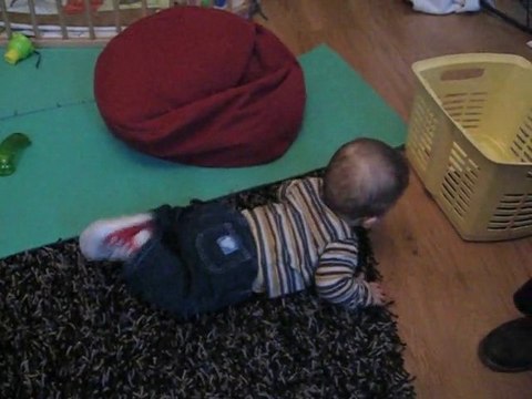 premiers quatres pattes