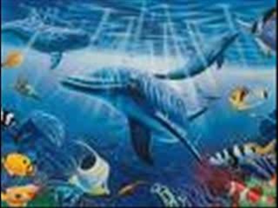 animals