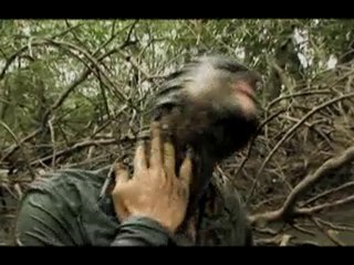 El último Superviviente 2 Temporada