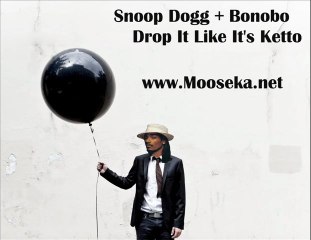 Mooseka - Drop It Like It's Ketto (Snoop Dogg + Bonobo ...