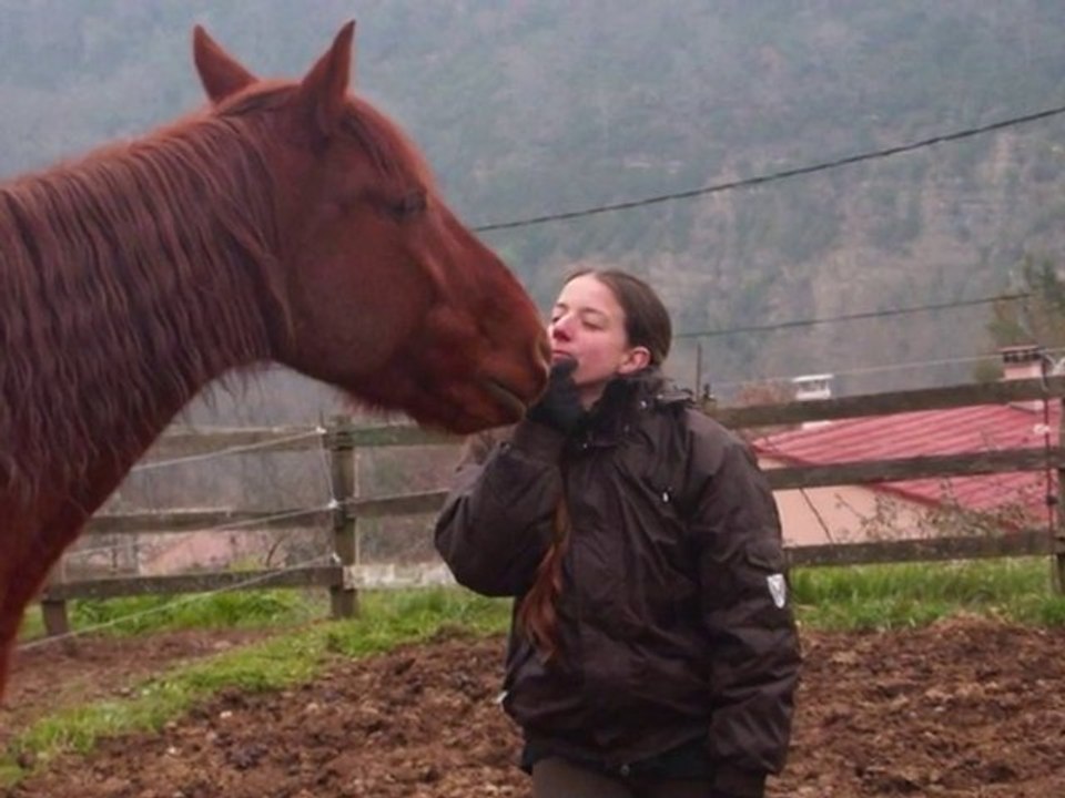 janvier 2011