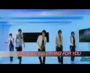 Because i'm stupid - SS501 ( Boys before flowers)