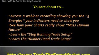 Forex Indicator Trading System