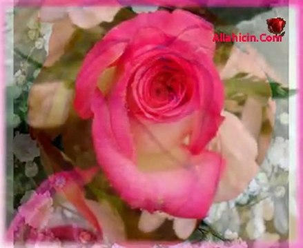 BANA GÜLLER DERİN, KIRMIZI GÜLLER VERİN