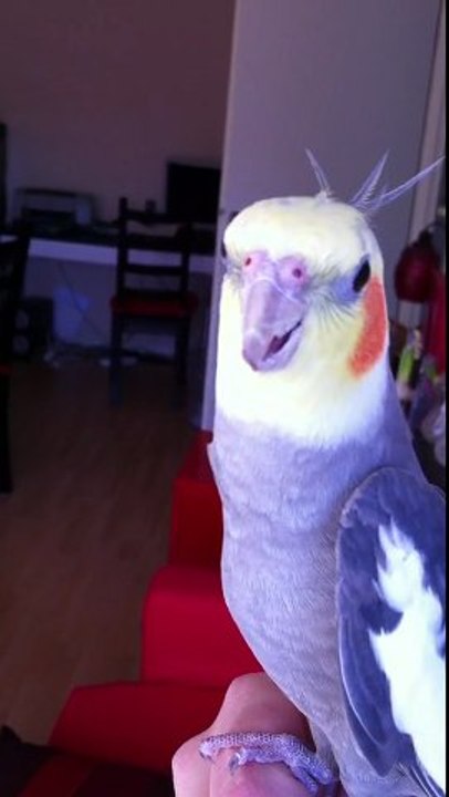 Joyeux anniversaire !