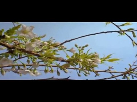 Hz.Muhammed (s.av)-Bir Avuç Un