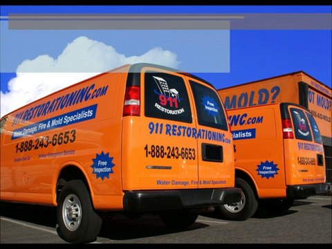 Dallas Mold Removal - Call (888) 243-6653