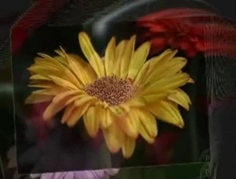 Kamuran Akkor - Aşk Eski Bir Yalan