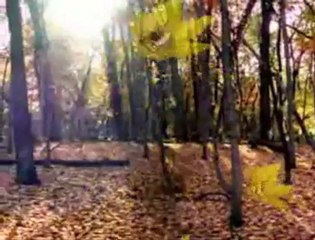 Ali Kocatepe - Ben Gene Sana Vurgunum