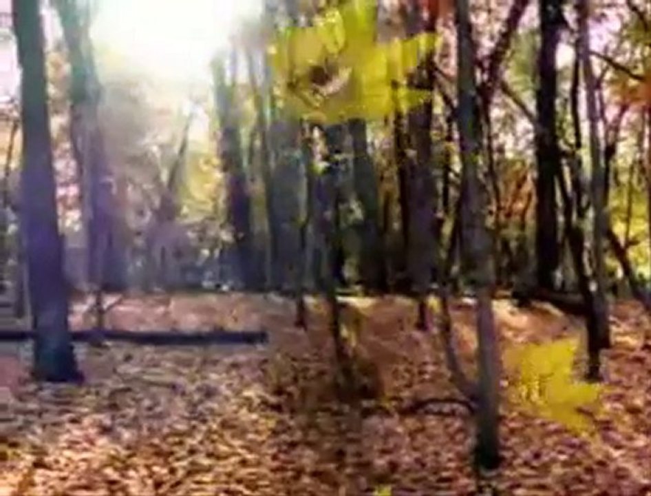 Ali Kocatepe - Ben Gene Sana Vurgunum