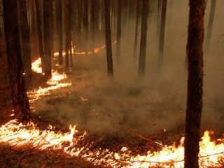 Crematory - Kaltes Feuer