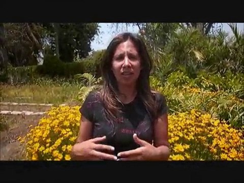 flores+peru, FloresEnPeru.com, flores en peru-A