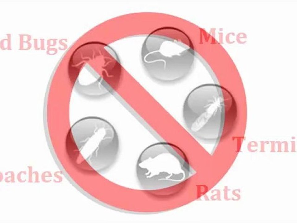 Pest Control Company 213-928-7721 Sherman oaks, Studio city,