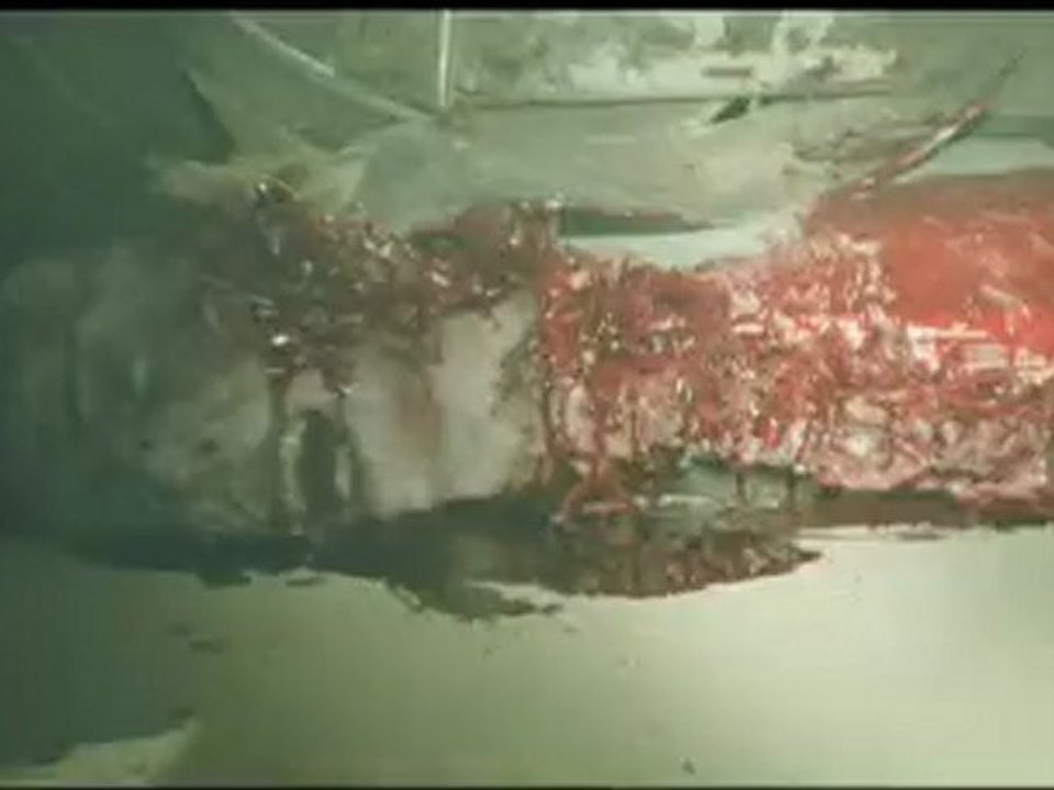 2012: Apocalypse of the Dead (Zone of the Dead) - Trailer