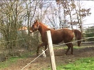 Tyamakasi Fev 2011 avi