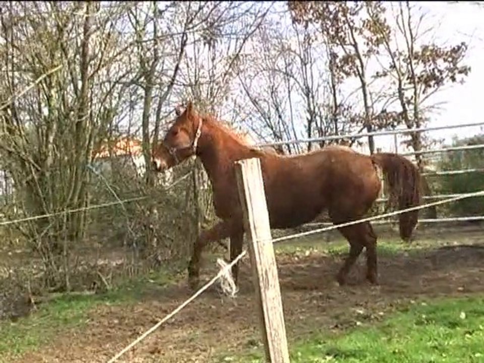 Tyamakasi Fev 2011 avi