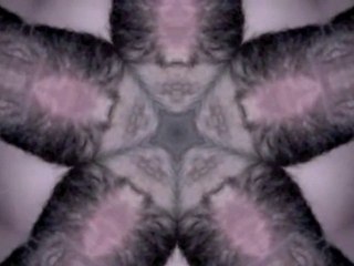 Step dub - Electronic Rhythm Assembly