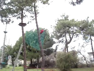 parcours sportif saut de tarzan