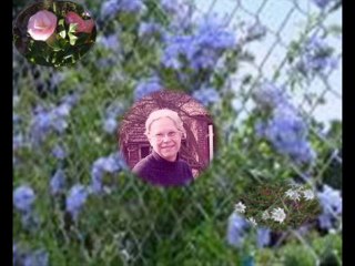 DI STEFANO ROSAIRE -- MAMMA --