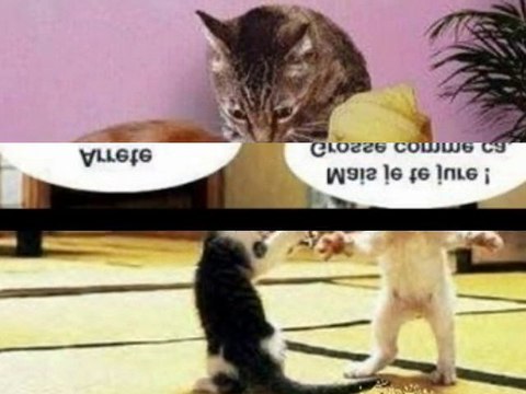 video jean pierre 096