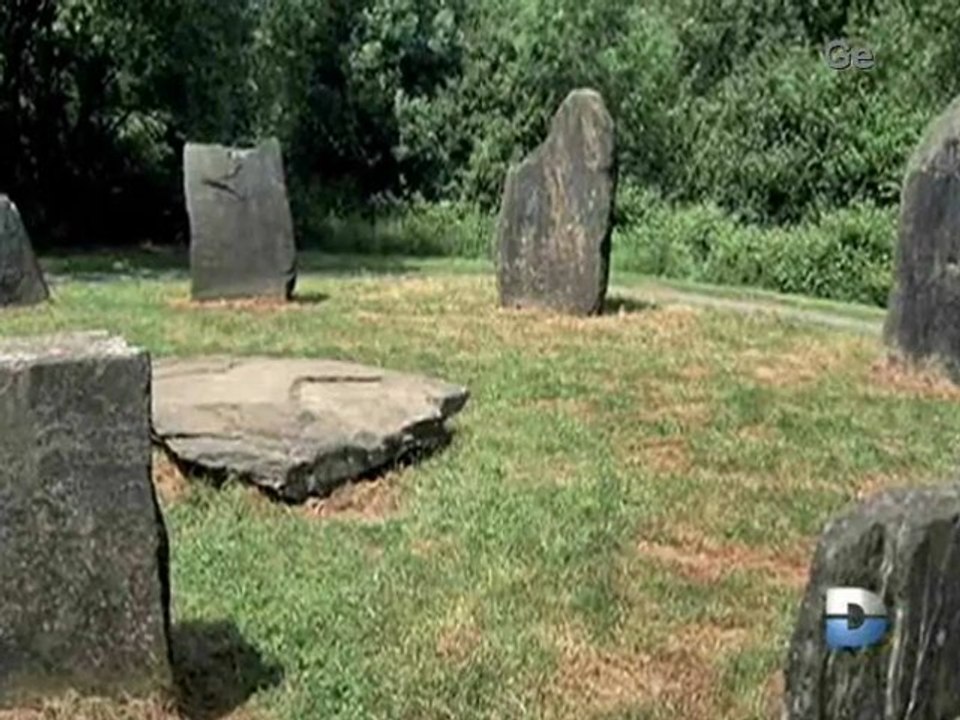 2_3  bizarre ou quoi (6)