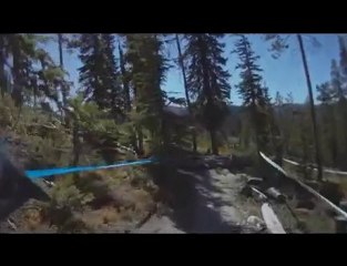 Trestle Crash n Burn