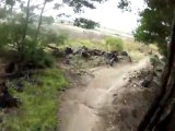 Canberra Australia-Stromlo - Kangaroos on track MTB Singletrack Helmet Cam  @ 3 Mins and 31 seconds