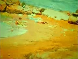 "Toxic Wasted" Red Bull Meltemi Stories