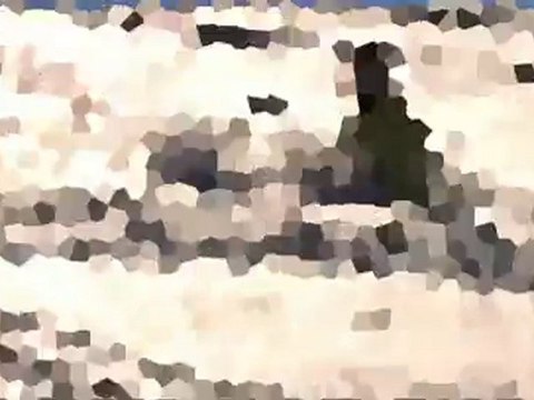 Camas 2010 Snowkiting