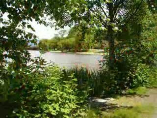 The Triathlon World Championships, 2008