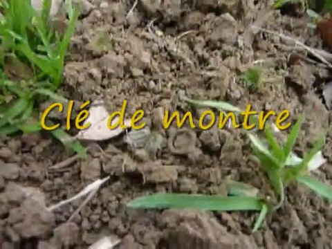 Sortie détection de métaux en labour avec mon GMP