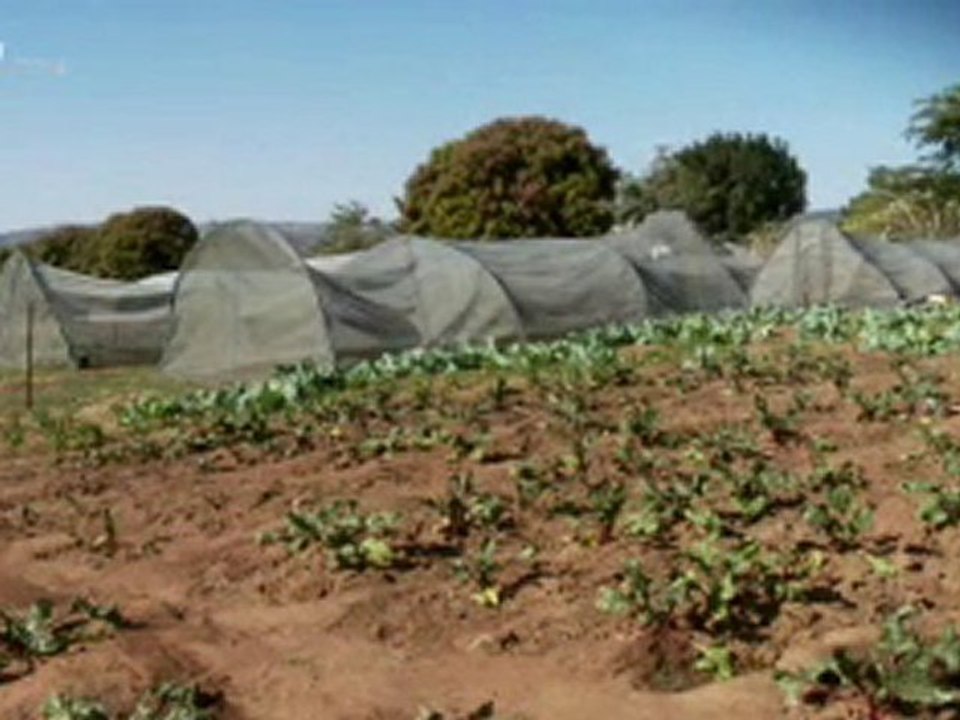 Zanele's Future - CBN.com