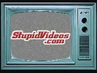 dressage leçon n°3