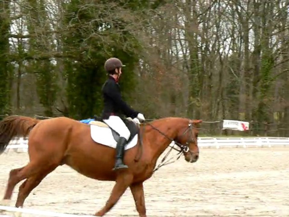 Oriane sur Hassan-06.02.11 dressage club 3-CE Laval-