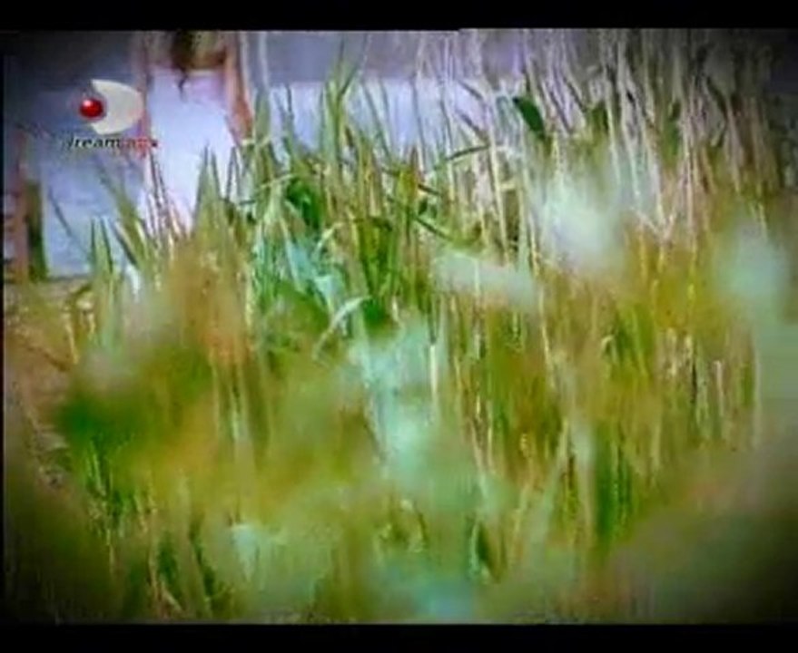 DREAMTURK KLİPLER ERMAN "HANCER"