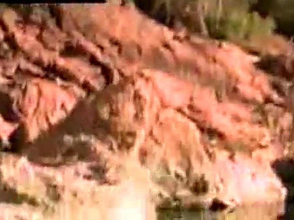 Crazy Cliff Divers